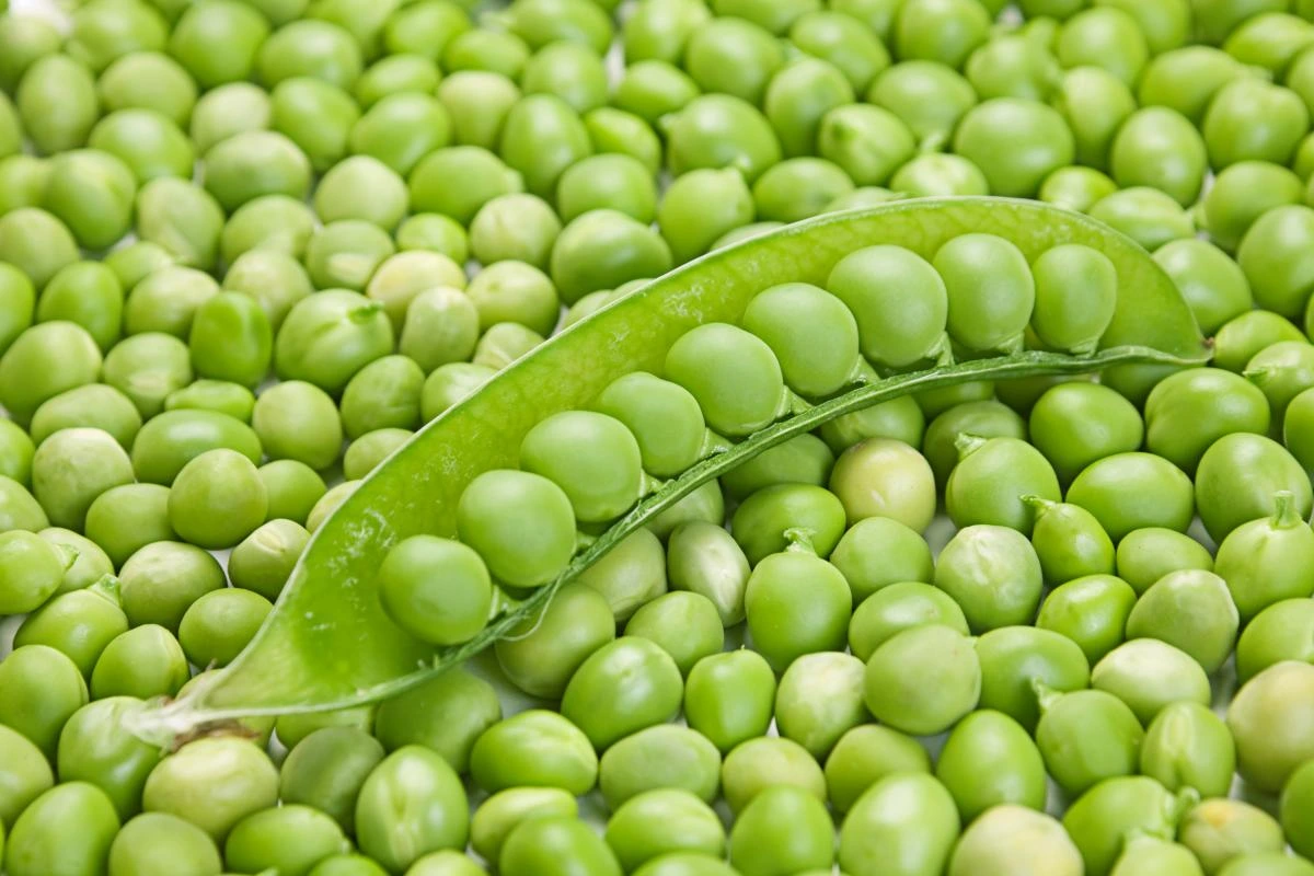 Україна почне постачати до Китаю незвичний продукт